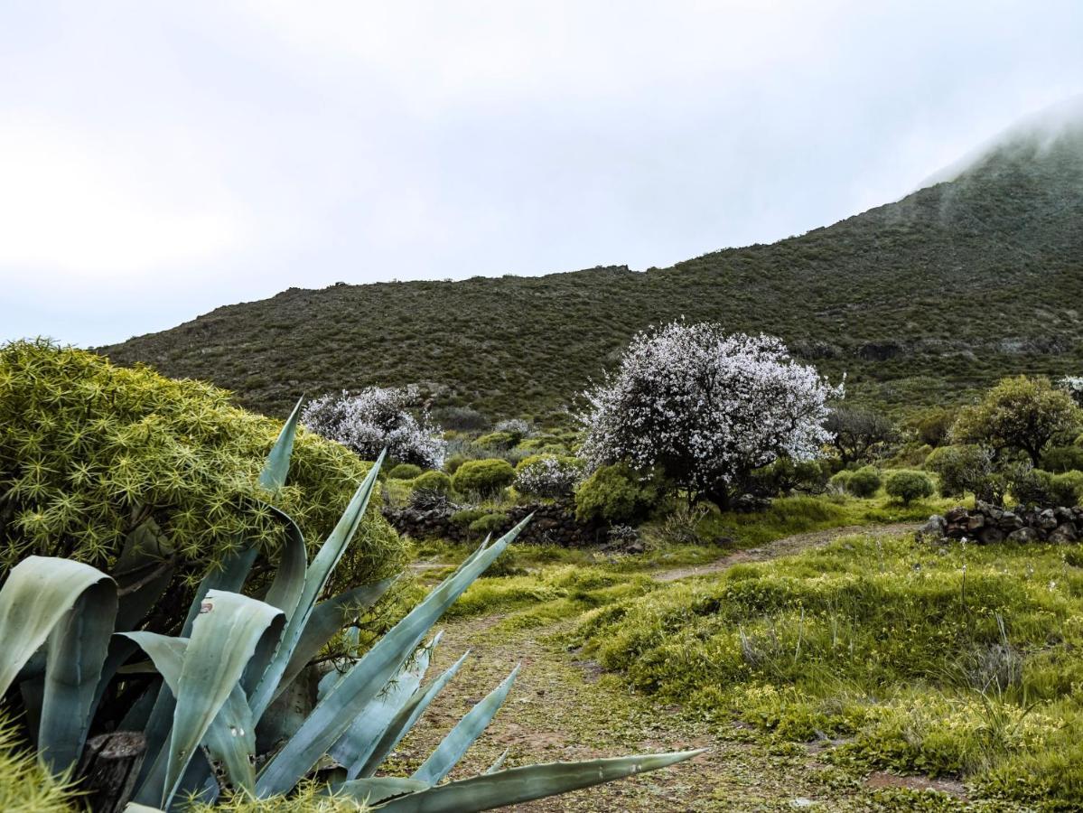 Luxury Villa In Nature With Swimming Pool Tenerife, Santiago Del Teide, With Sea And Mountain Views El Retamar Exterior photo